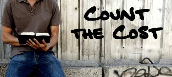 counting-the-cost-mary-j-nelson